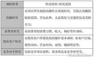 从定位到引爆 一个商业地产项目的整合营销策划案例解析