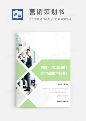专业市场营销策划方案制作指南 模板获取与核心要素解析